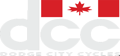 light logo